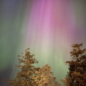 Glitch in the Universe and 29th of February  